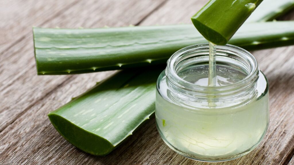 aloe vera - cara mengatasi kulit wajah mengelupas dan perih - GeneraZ.id (3)